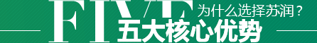 5大核心優勢